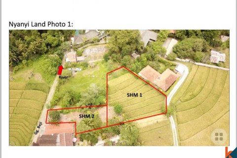 Land in Tabanan, Bali (11925) 2