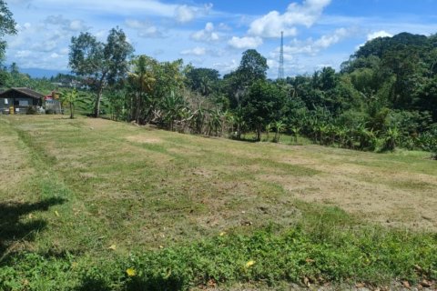 Land in Tabanan, Bali (11925) 4