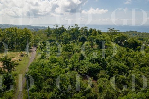 Land in Pecatu, Badung, Bali (15660) 3