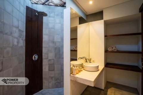 Вилла с 3 спальнями в Семиньяк, Бадунг, Бали (10401) 3