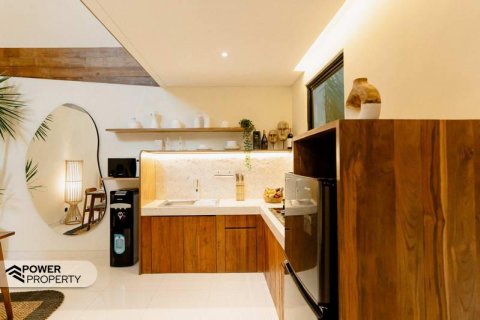 2 bedrooms Villa in Kerobokan, Badung, Bali (10659) 4