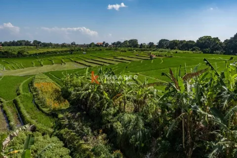 4 bedrooms Villa in Buduk, Mengwi, Badung, Bali (14662) 15