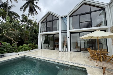 Studio Villa in Ubud, Gianyar, Bali (10623)