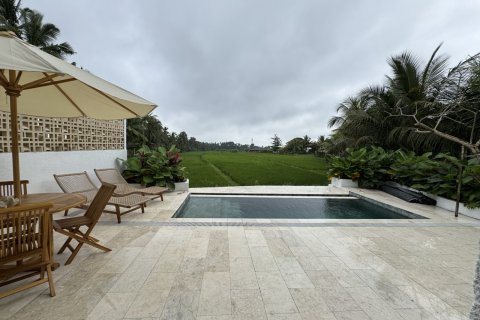 134m2 Villa in Ubud, Gianyar, Bali (10623) 15