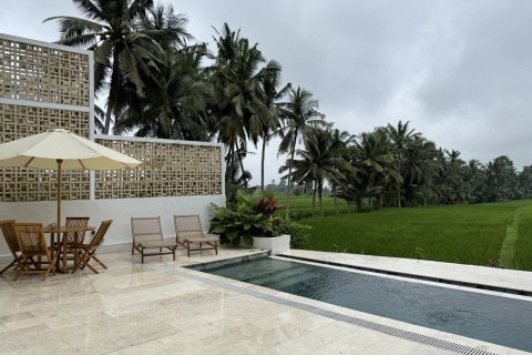 134m2 Villa in Ubud, Gianyar, Bali (10623) 2