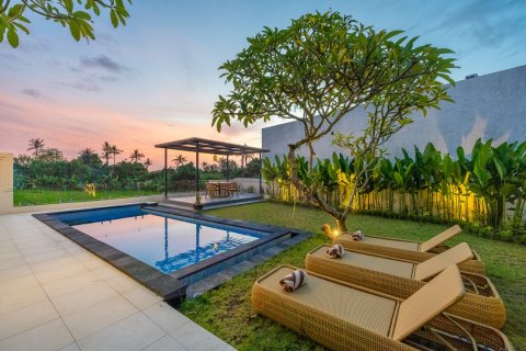 Studio Villa in Tumbak Bayuh, Mengwi, Badung, Bali (10625)