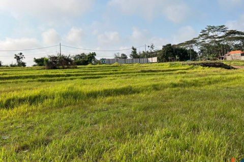 Land in Mengwi, Badung, Bali (11252) 5