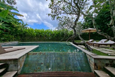 1192m2 Villa in Denpasar, Bali (13922) 30
