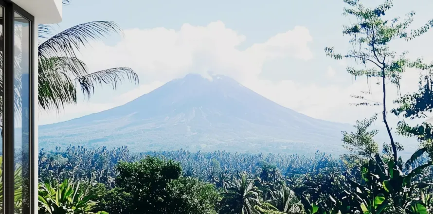 2 bedrooms Villa in Karangasem, Karang Asem, Bali (11275)