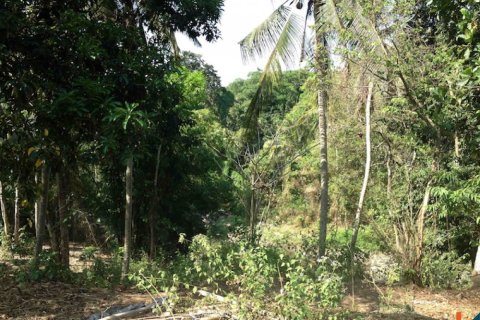 Land in Cemagi, Mengwi, Badung, Bali (11277) 6