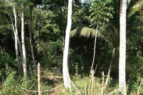 Land in Cemagi, Mengwi, Badung, Bali (11277) 8