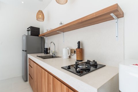 Вилла 60м2 в Чангу, Бадунг, Бали (10257) 21