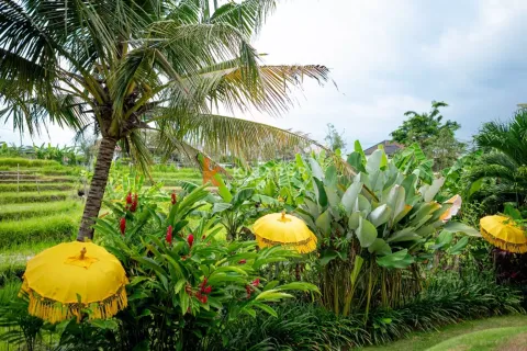 5 bedrooms Villa in Canggu, Badung, Bali (13200) 18