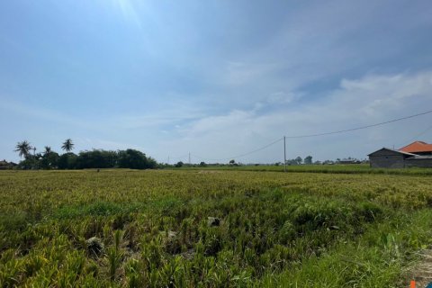Land in Munggu, Mengwi, Badung, Bali (11965)