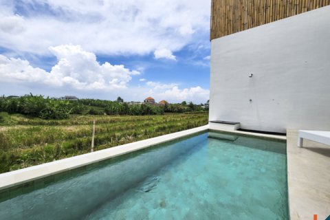 2 bedrooms Villa in Tumbak Bayuh, Mengwi, Badung, Bali (11964)