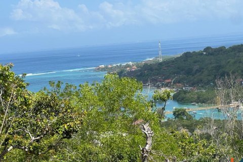 Land in Klungkung, Bali (11968)