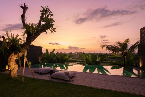 4 bedrooms House in Canggu, Badung, Bali (15747) 17