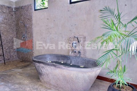 2 bedrooms Villa in Kerobokan, Badung, Bali (2557) 16