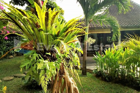 4 bedrooms Villa in Kerobokan, Badung, Bali (2556) 20