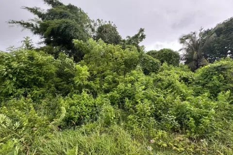 Land in Kuta, Badung, Bali (11570)