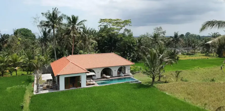 3 bedrooms Villa in Ubud, Gianyar, Bali (11575)