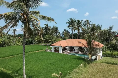 3 bedrooms Villa in Ubud, Gianyar, Bali (11575) 2