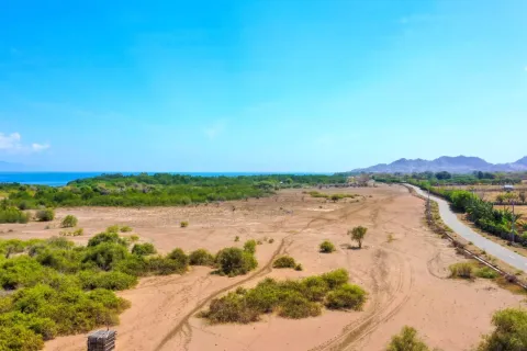 Land in Bali (11574) 1