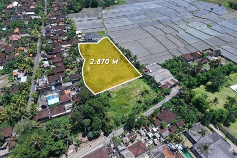 Land in Kaba-Kaba, Kediri, Tabanan, Bali (14011) 2