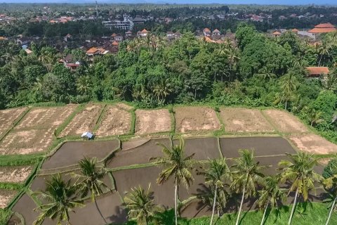 4500m2 Land in Ubud, Gianyar, Bali (14012) 3