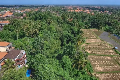 4500m2 Land in Ubud, Gianyar, Bali (14012) 2