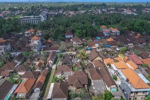4500m2 Land in Ubud, Gianyar, Bali (14012) 4