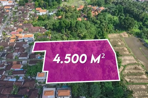 4500m2 Land in Ubud, Gianyar, Bali (14012)