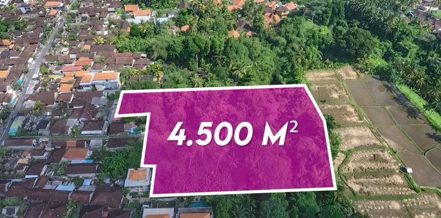 4500m2 Land in Ubud, Gianyar, Bali (14012)