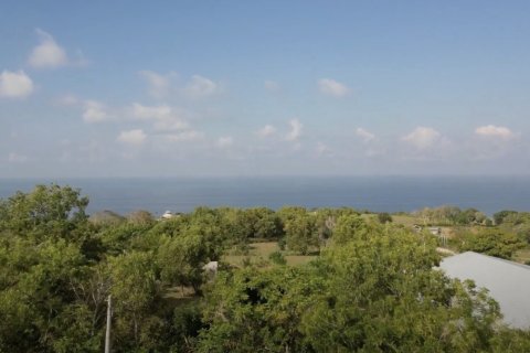 2500m2 Land in South Kuta, Badung, Bali (14014) 8