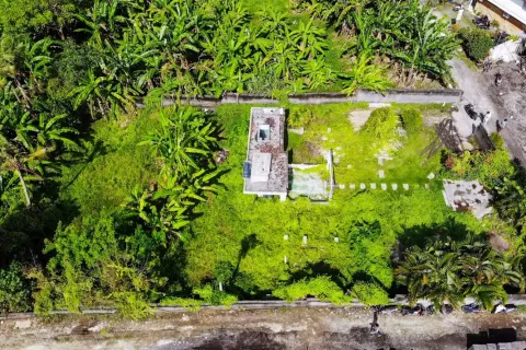 Land in Pererenan, Mengwi, Badung, Bali (11247) 3