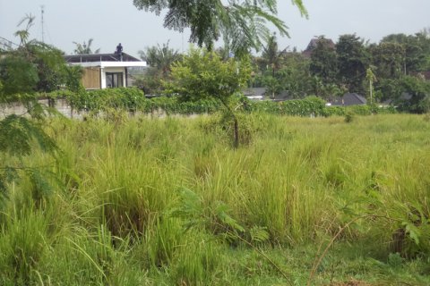 Land in Badung, Bali (12329)