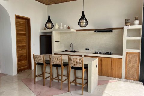 Вилла 65м2 в Южная Кута, Бадунг, Бали (10195) 8