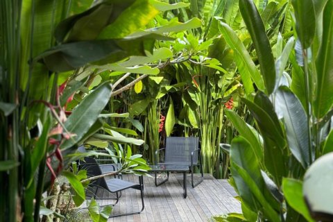 3 bedrooms Villa in Ubud, Gianyar, Bali (14505) 6