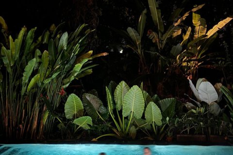3 bedrooms Villa in Ubud, Gianyar, Bali (14505) 28