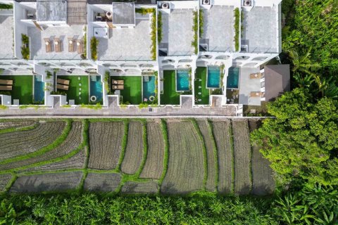 1 bedroom Villa in Mengwi, Badung, Bali (14509) 2