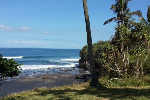 Land in Tabanan, Bali (11761)
