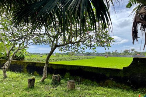 Land in Tabanan, Bali (12243) 8