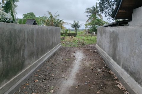 Land in Tabanan, Bali (12243) 13