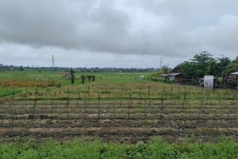 Land in Tabanan, Bali (12243) 2