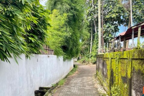 Land in Tabanan, Bali (12243) 10
