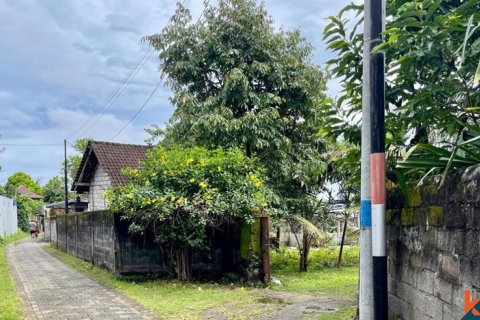 Land in Tabanan, Bali (12243) 7
