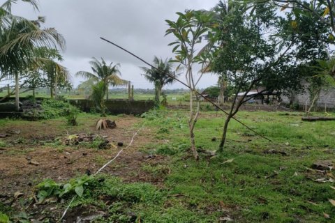 Land in Tabanan, Bali (12243) 11