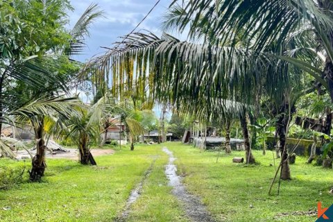 Land in Tabanan, Bali (12243) 4