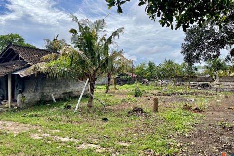 Land in Tabanan, Bali (12243) 5