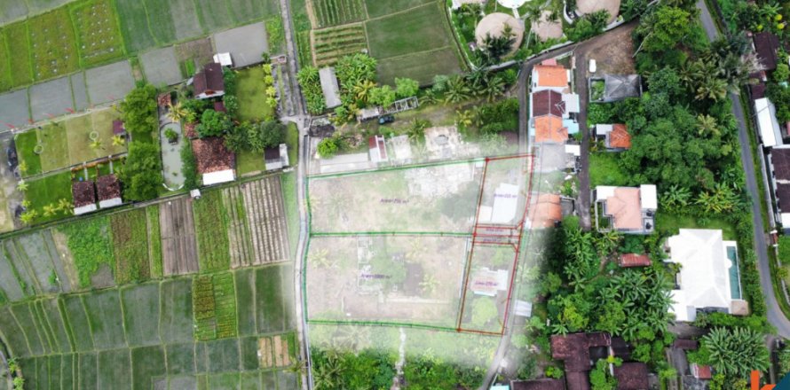 Land in Tabanan, Bali (12243)